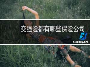 交强险都有哪些保险公司