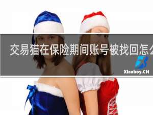 交易猫在保险期间账号被找回怎么办