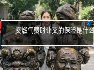 交燃气费时让交的保险是什么