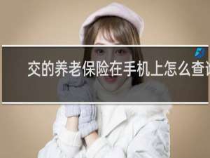 交的养老保险在手机上怎么查询