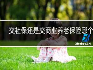 交社保还是交商业养老保险哪个好