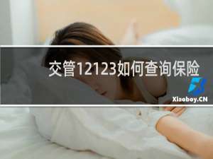 交管12123如何查询保险