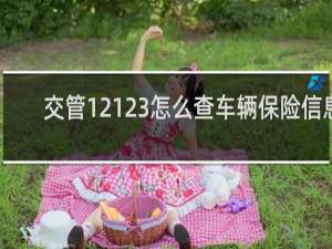 交管12123怎么查车辆保险信息