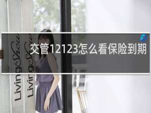 交管12123怎么看保险到期