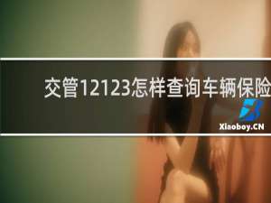 交管12123怎样查询车辆保险