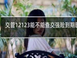 交管12123能不能查交强险到期时间