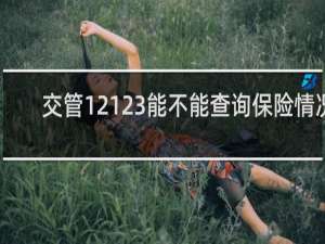 交管12123能不能查询保险情况