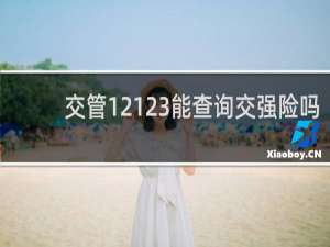 交管12123能查询交强险吗