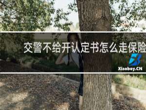 交警不给开认定书怎么走保险