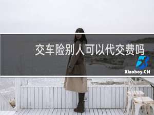 交车险别人可以代交费吗