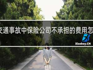 交通事故中保险公司不承担的费用怎么处理