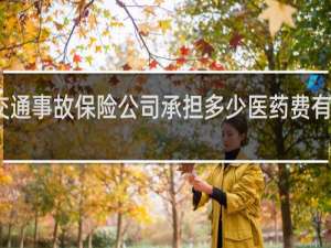 交通事故保险公司承担多少医药费有商业险