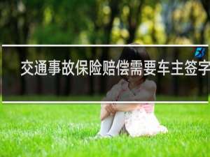 交通事故保险赔偿需要车主签字吗