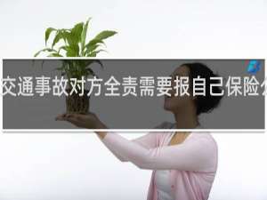 交通事故对方全责需要报自己保险公司吗