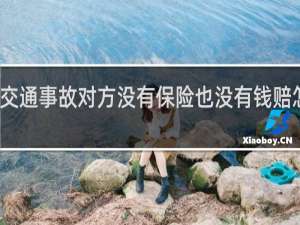 交通事故对方没有保险也没有钱赔怎么办
