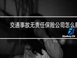 交通事故无责任保险公司怎么赔