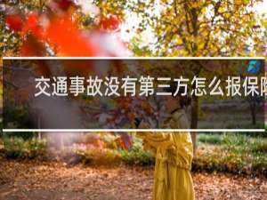 交通事故没有第三方怎么报保险