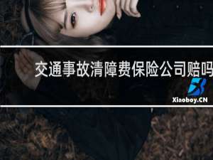 交通事故清障费保险公司赔吗