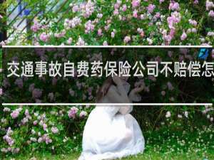 交通事故自费药保险公司不赔偿怎么办
