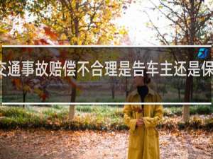 交通事故赔偿不合理是告车主还是保险公司