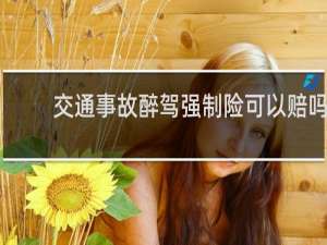 交通事故醉驾强制险可以赔吗