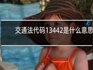 交通法代码13442是什么意思