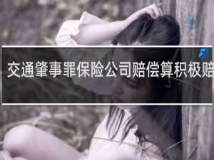 交通肇事罪保险公司赔偿算积极赔偿吗