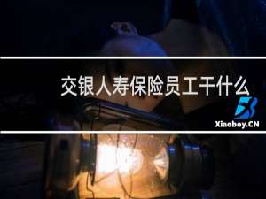 交银人寿保险员工干什么