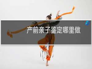 产前亲子鉴定哪里做