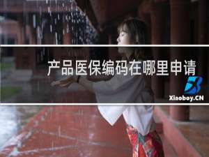 产品医保编码在哪里申请