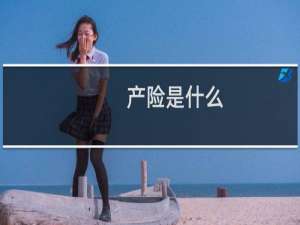 产险是什么