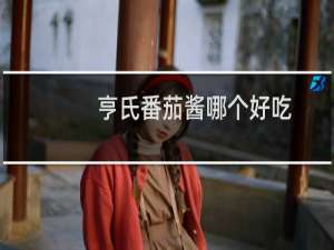 亨氏番茄酱哪个好吃