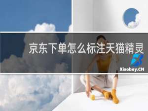 京東下單怎么標注天貓精靈