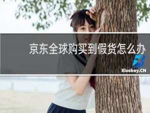 京东全球购买到假货怎么办