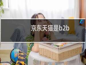 京东天猫是b2b