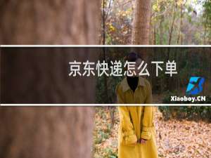 京东快递怎么下单