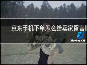 京东手机下单怎么给卖家留言啊