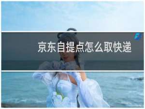 京东自提点怎么取快递（京东自提点）