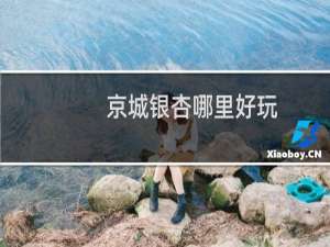 京城银杏哪里好玩