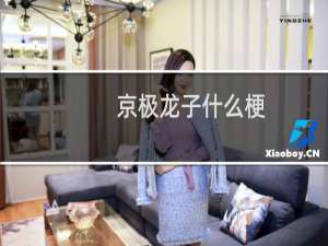 京极龙子什么梗
