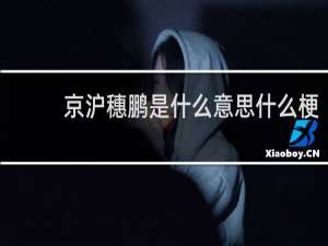 京沪穗鹏是什么意思什么梗