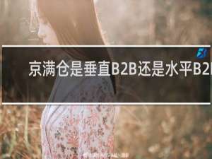 京满仓是垂直B2B还是水平B2B