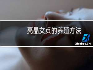 亮晶女贞的养殖方法