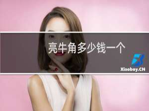 亮牛角多少钱一个