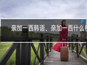 亲加一西韩语、亲加一西什么梗