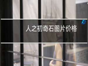 人之初奇石图片价格
