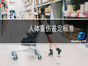 人体重伤鉴定标准