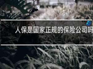 人保是国家正规的保险公司吗