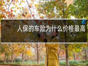 人保的车险为什么价格最高