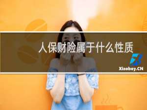 人保财险属于什么性质